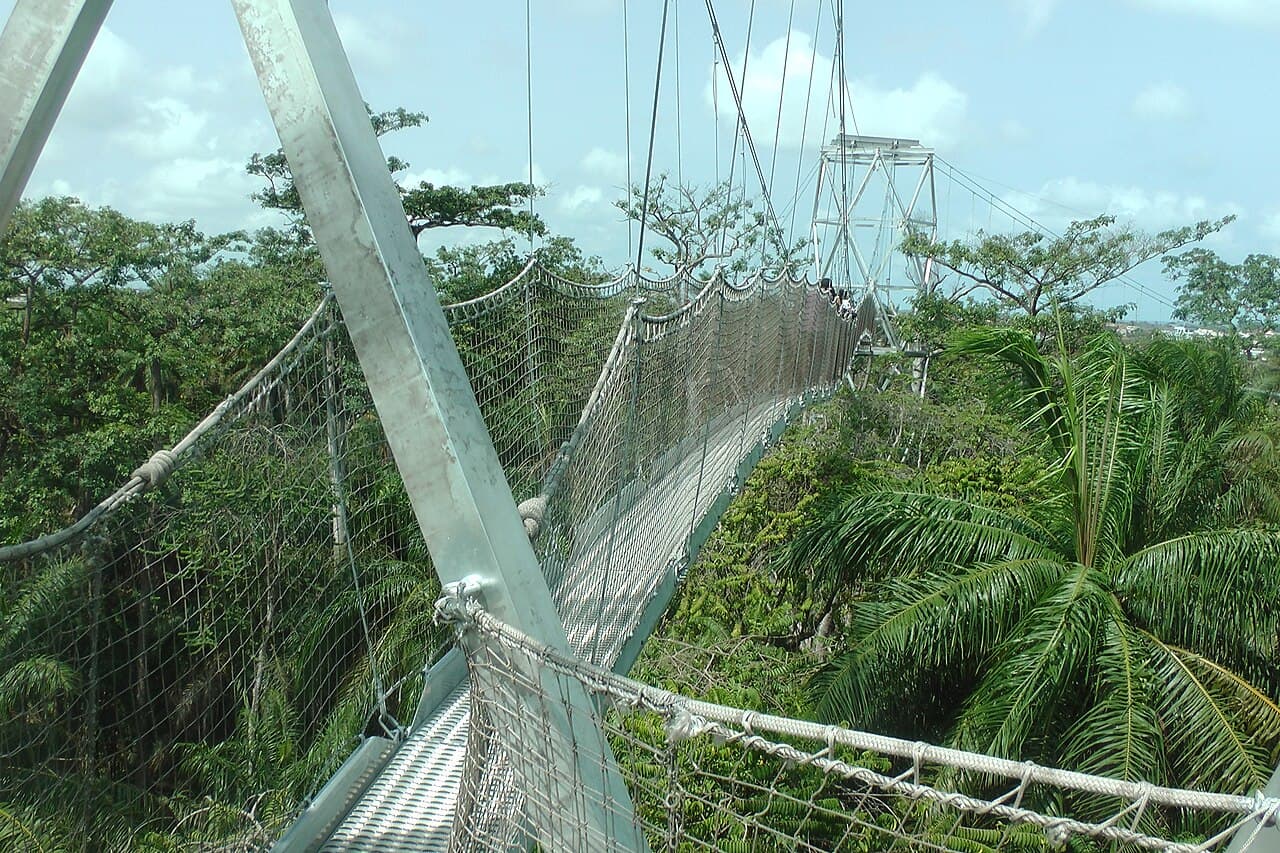 Lekki Conservation Centre in Lagos